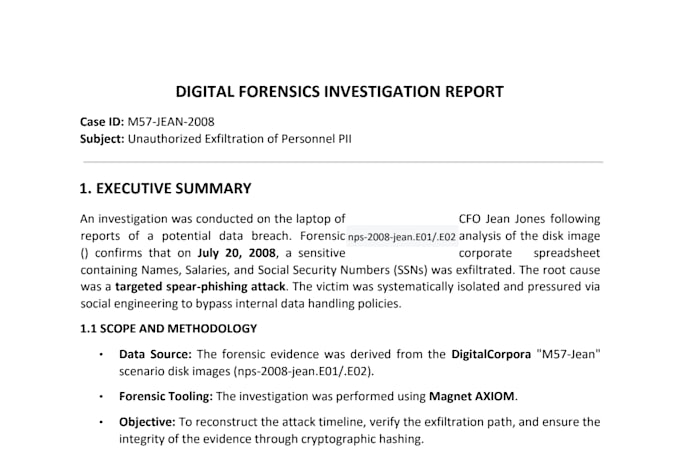 do professional digital forensics and cyber investigations